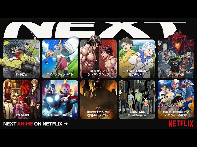Netflix Anime 2024